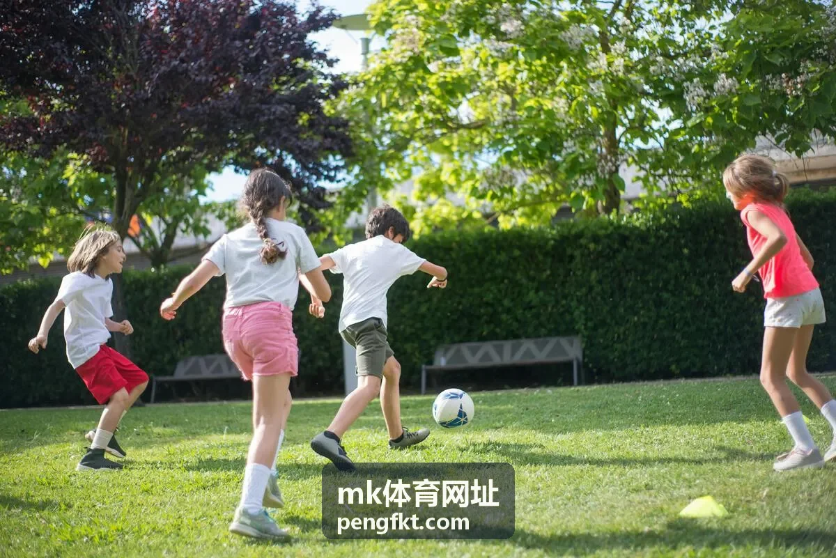 mk体育网址 访问排查说明封面