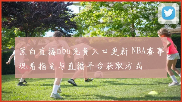 黑白直播nba免费入口更新 NBA赛事观看指南与直播平台获取方式