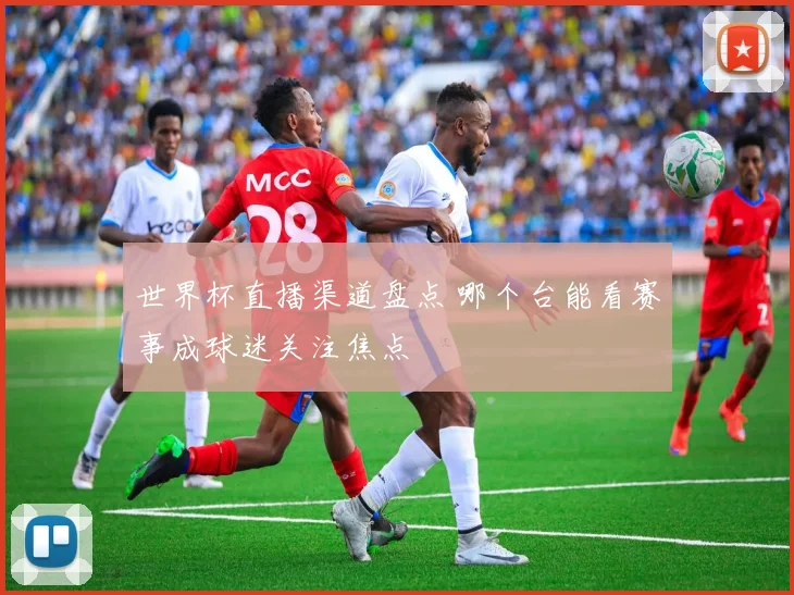 世界杯直播渠道盘点 哪个台能看赛事成球迷关注焦点