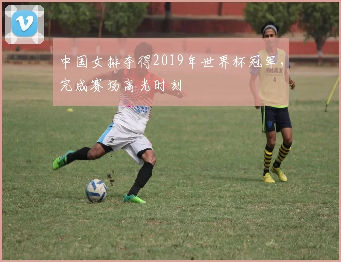 中国女排夺得2019年世界杯冠军，完成赛场高光时刻