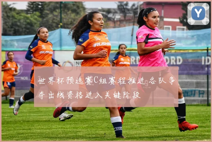 世界杯预选赛C组赛程推进 各队争夺出线资格进入关键阶段