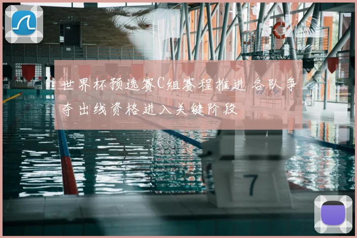 世界杯预选赛C组赛程推进 各队争夺出线资格进入关键阶段