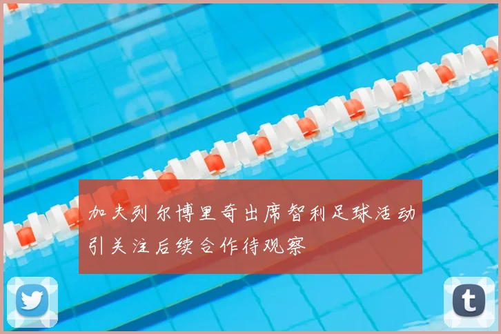 加夫列尔博里奇出席智利足球活动引关注后续合作待观察