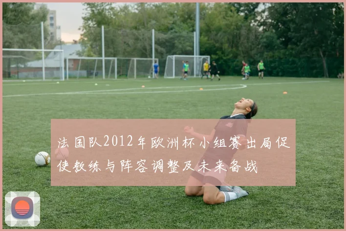 法国队2012年欧洲杯小组赛出局促使教练与阵容调整及未来备战
