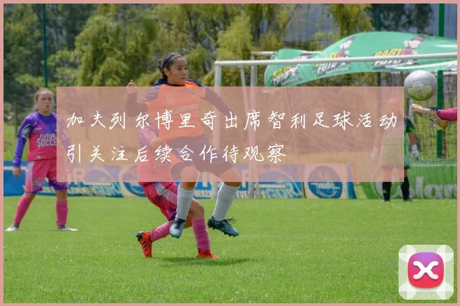 加夫列尔博里奇出席智利足球活动引关注后续合作待观察